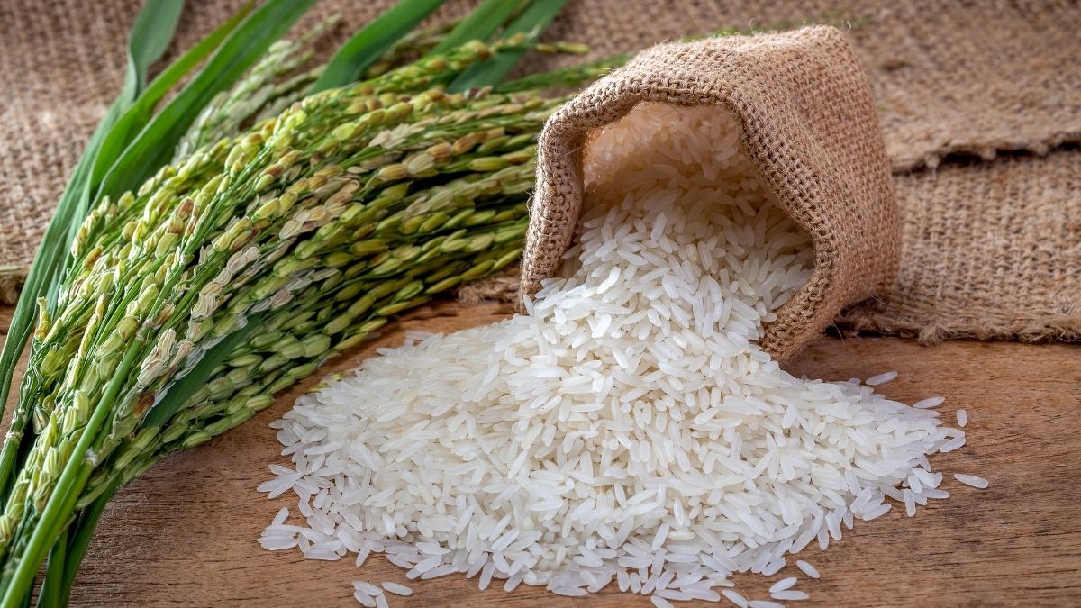 Non Basmati Rice - SIVANK Traders