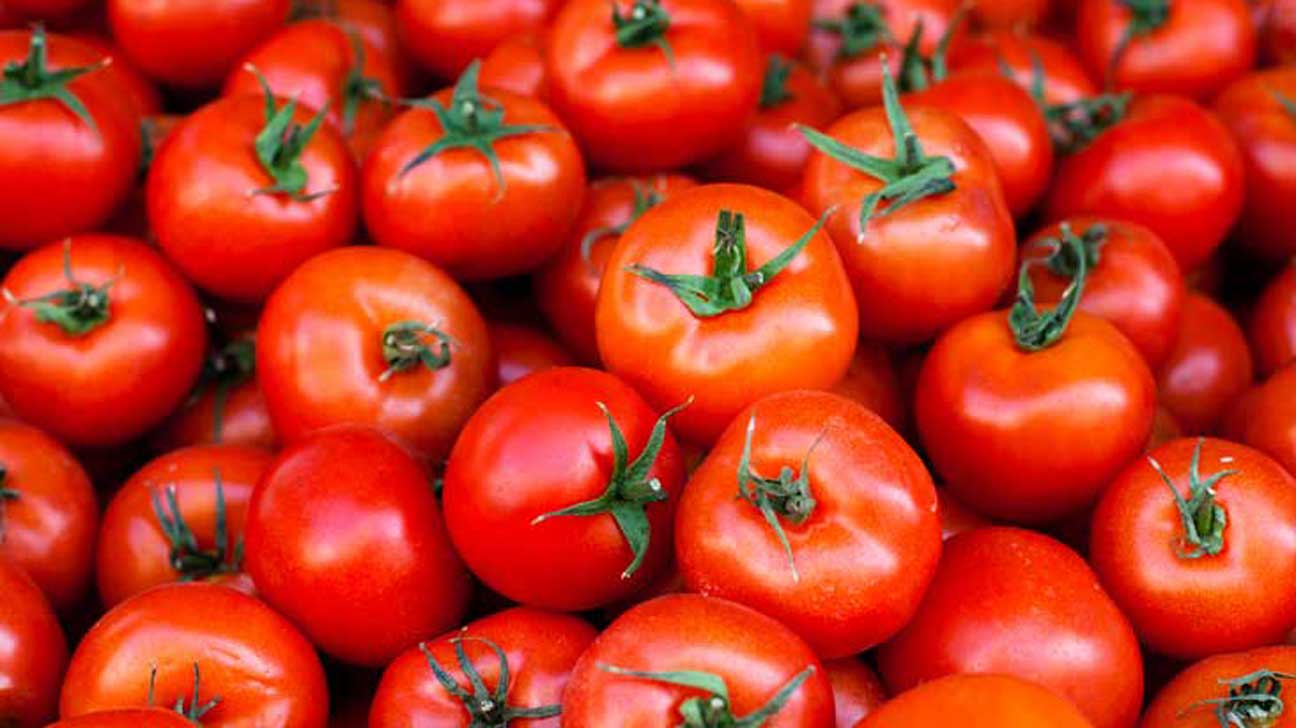 Tomato - SIVANK Traders